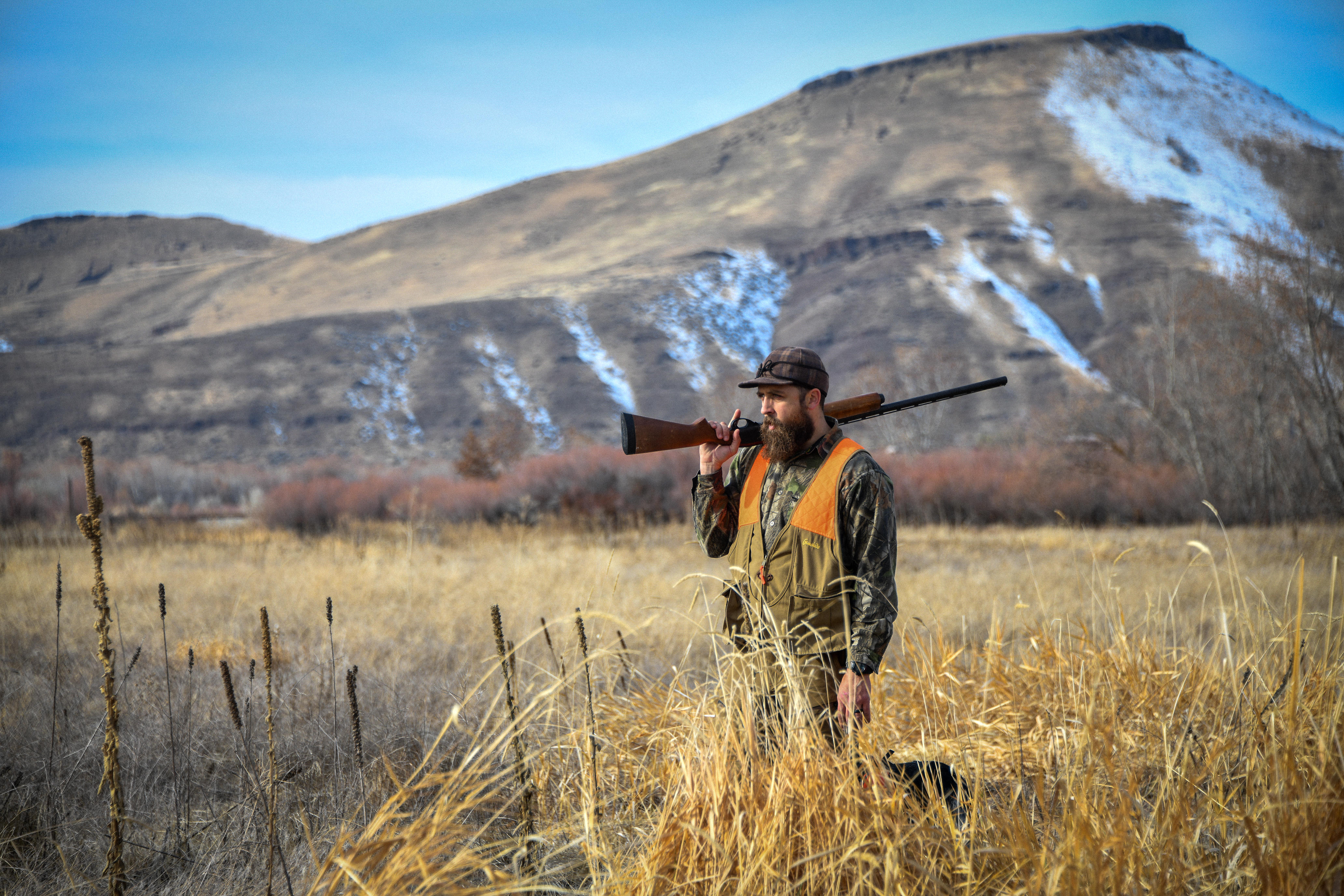 upland game hunter wearing orange standing in a corn field