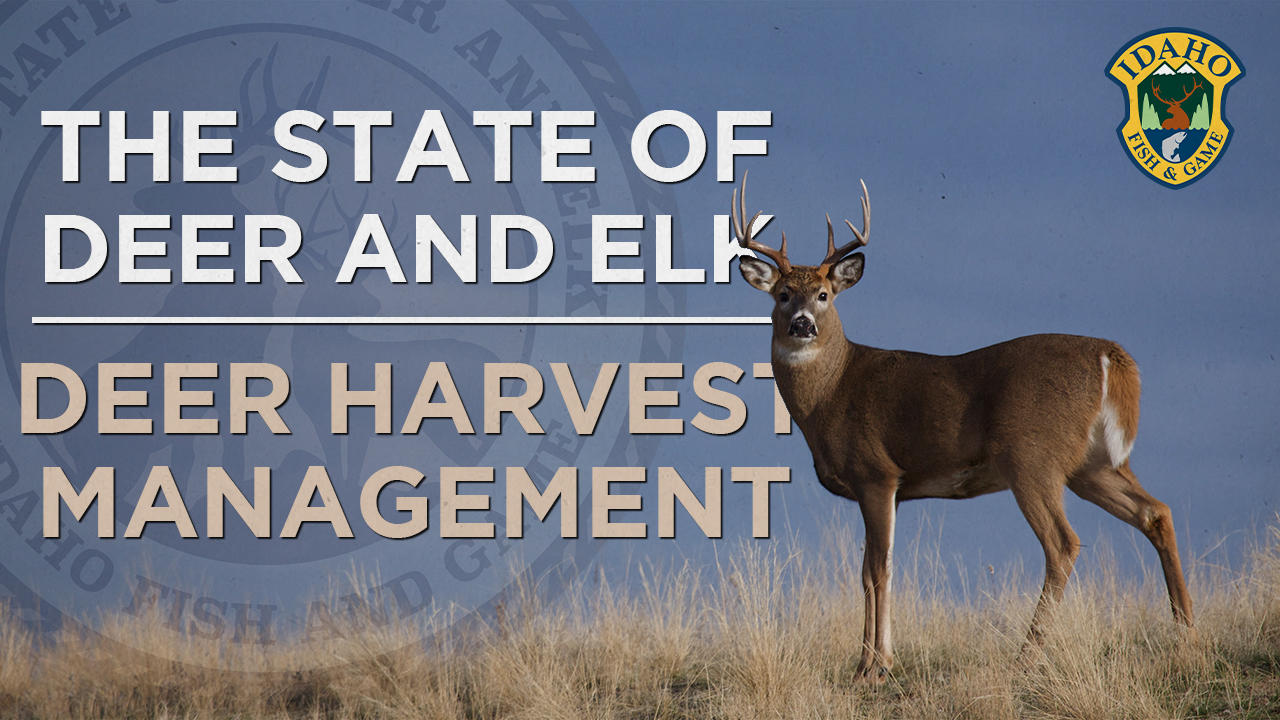 State of Deer and Elk: Deer Harvest Management (Episode 9)