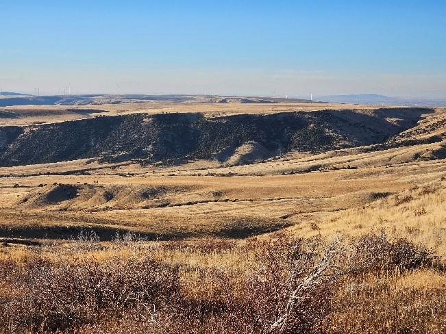 Wide vista view of Tex Creek acquisition and grassland