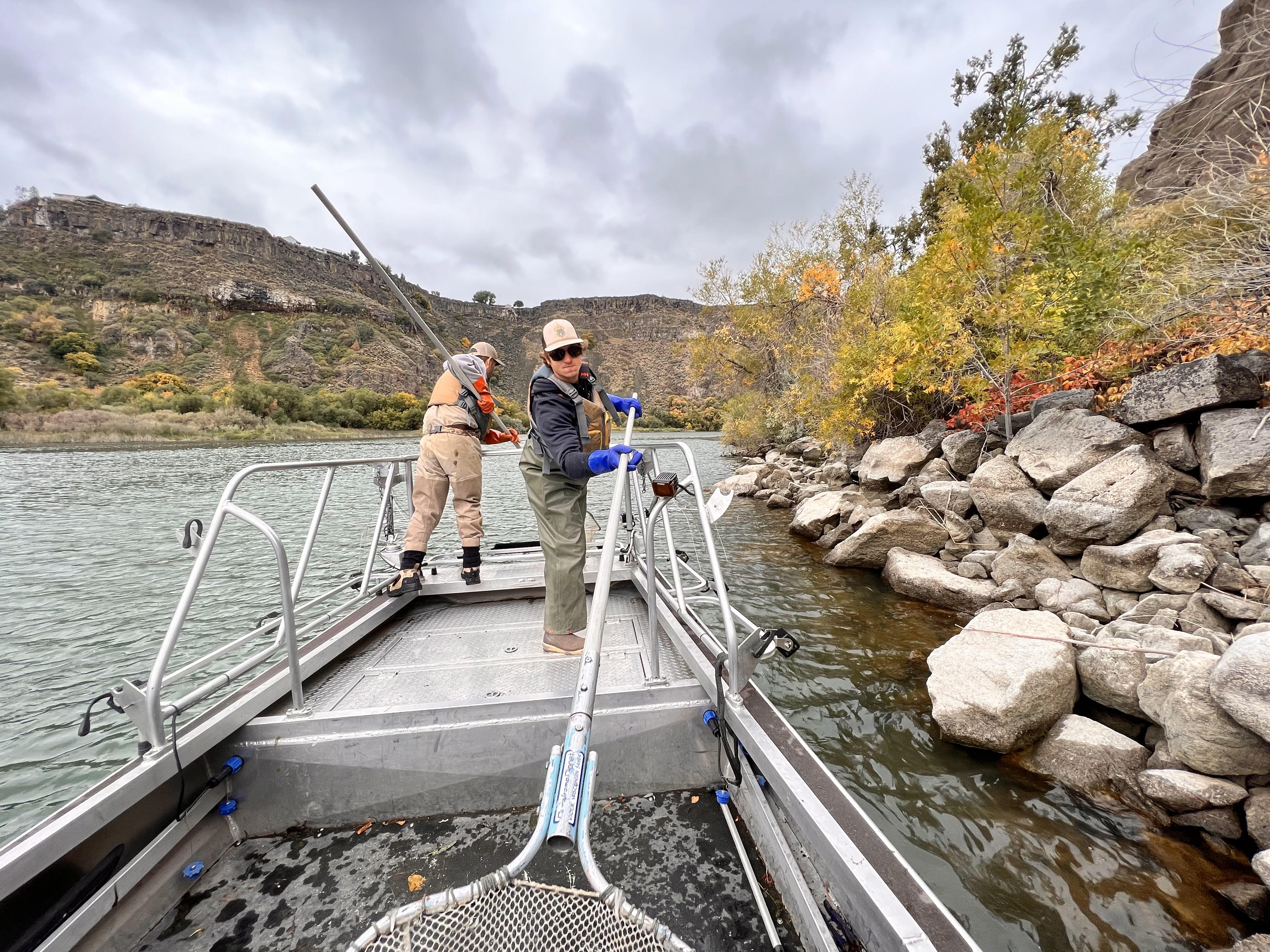 Fish and Game fisheries biologists electrofishing on Snake River where quagga mussels were detected