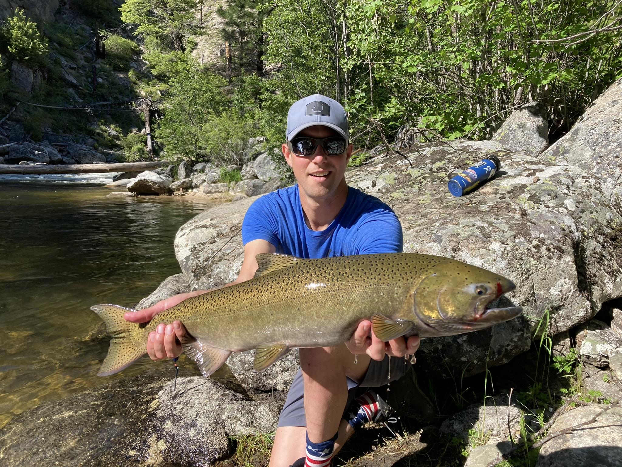 SFSR fish 3