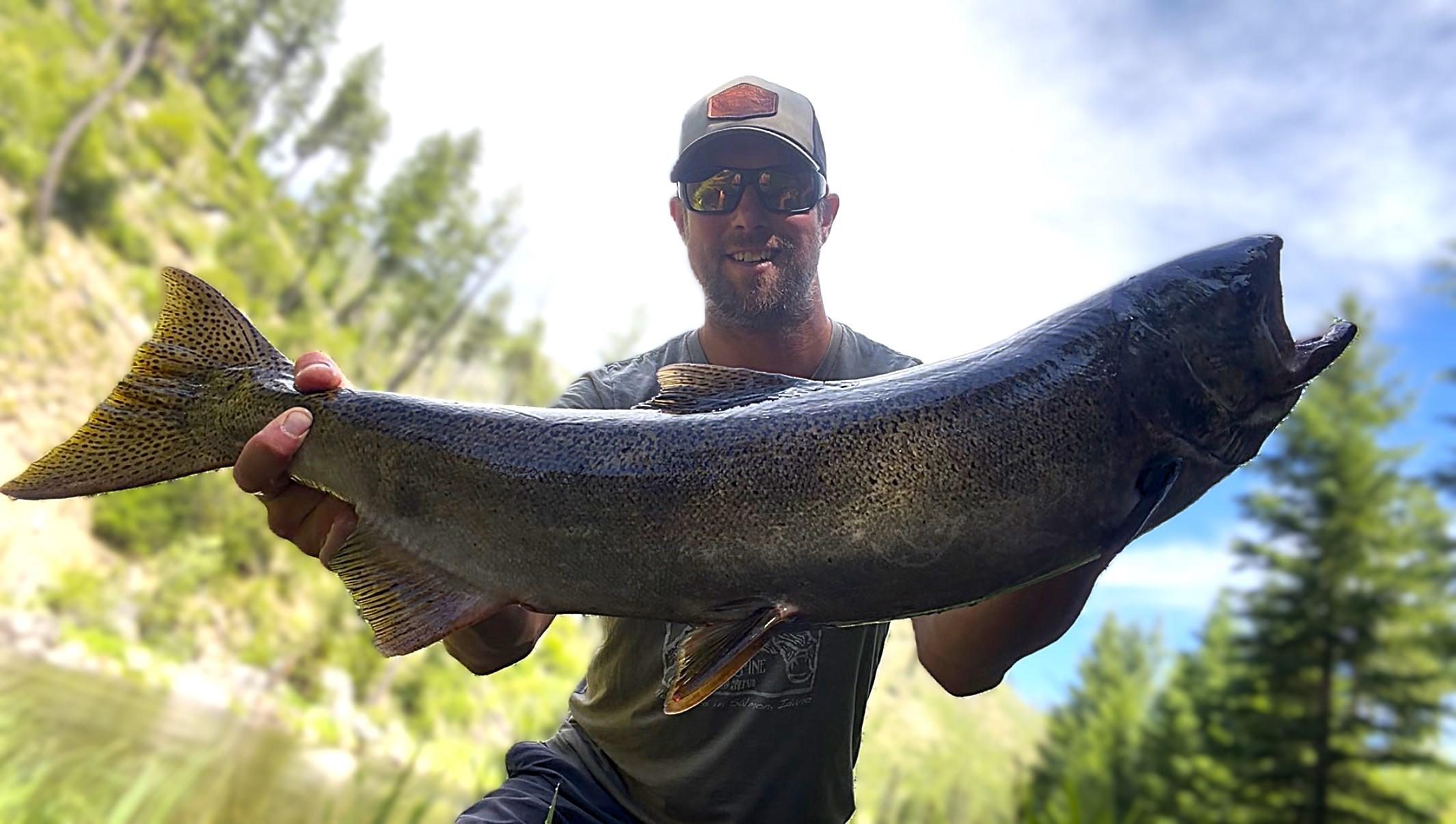 SFSR fish