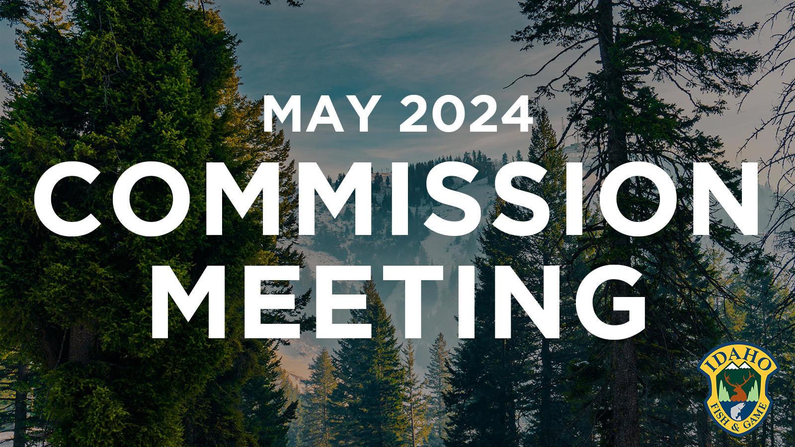 thumbnail commission meeting may 2024