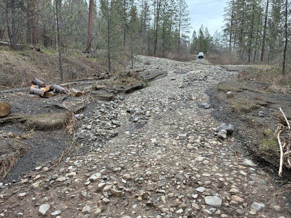 McGill spur