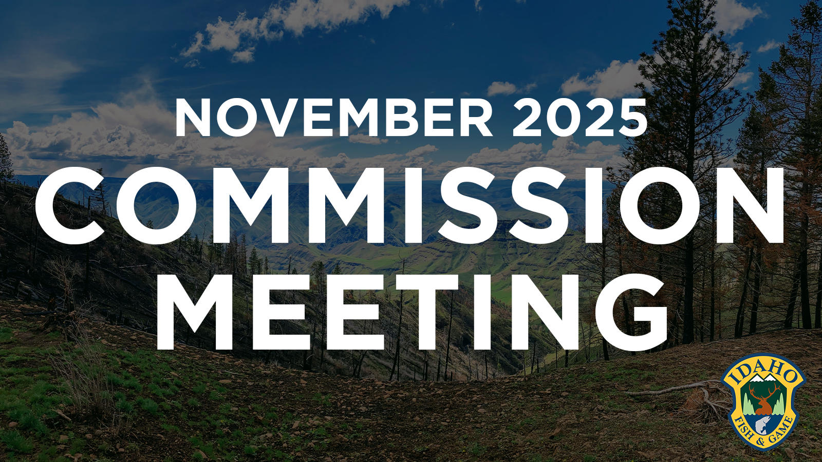 2025 november commission meeting
