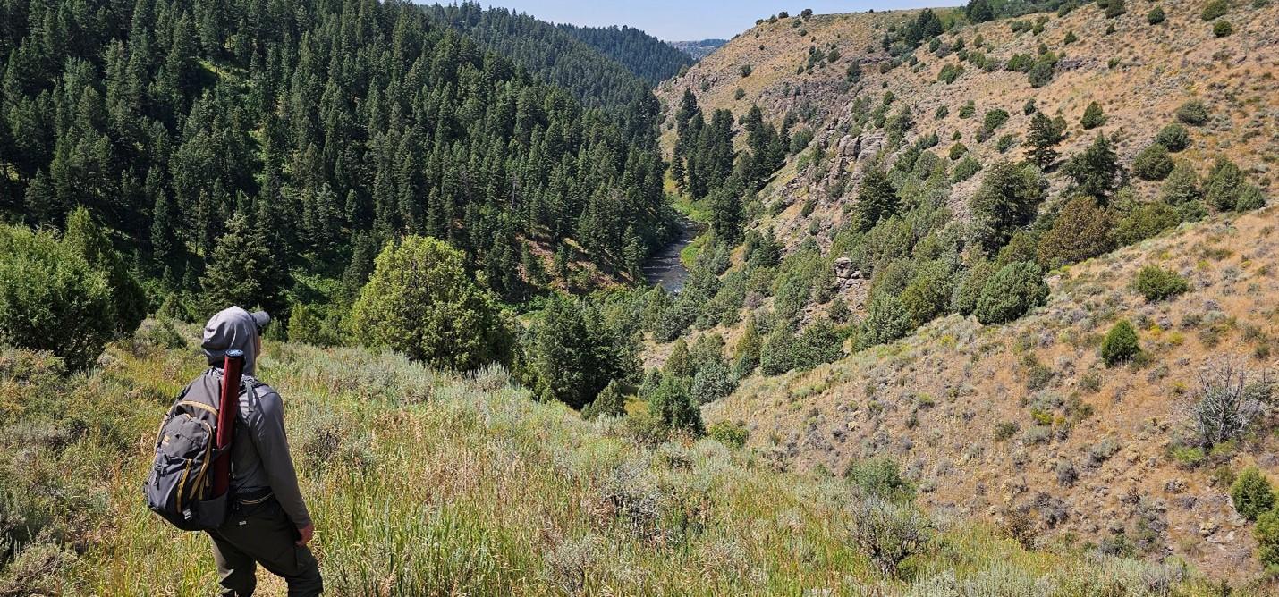 Technician looking down into Badger Creek