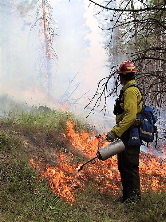prescribed fire, firefighter