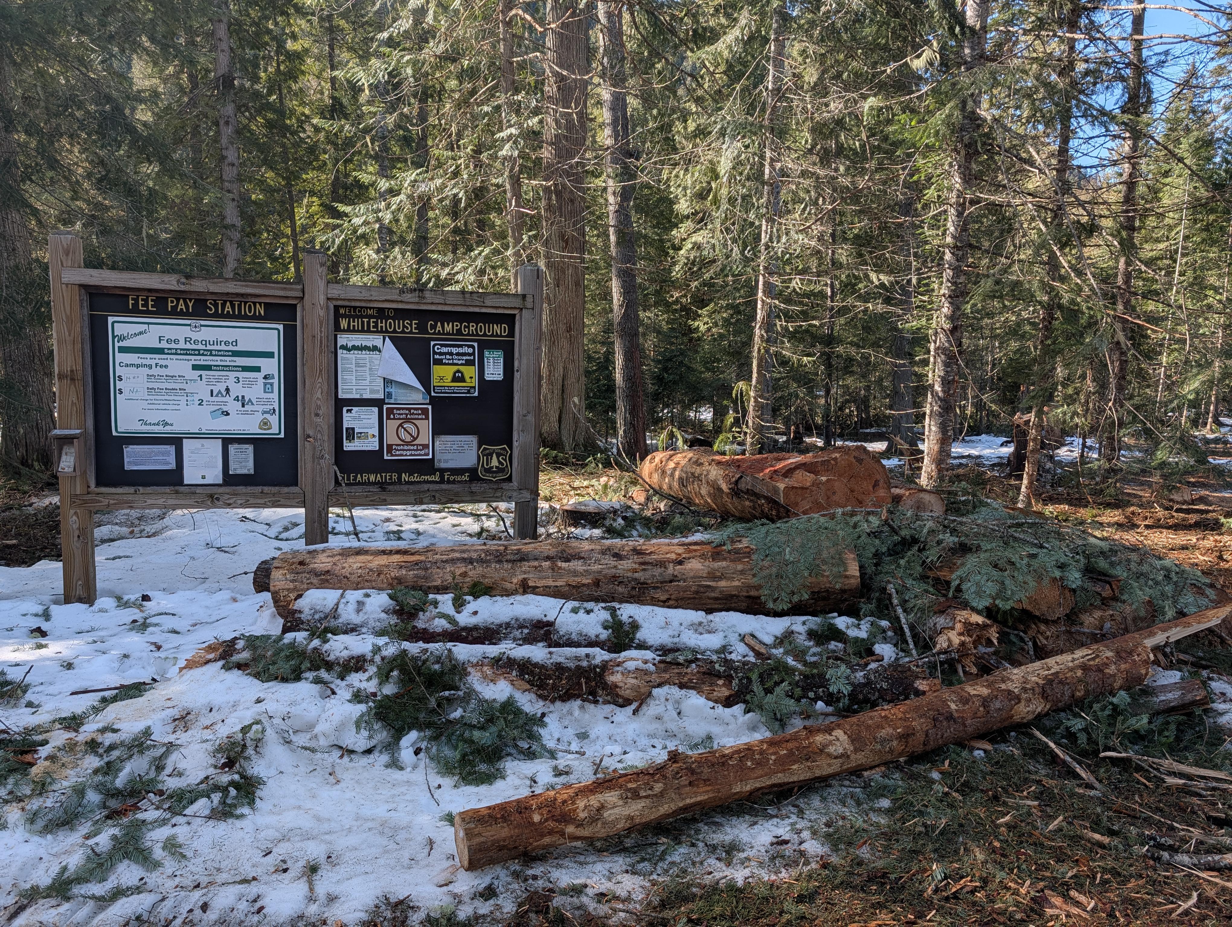 Campground cleanup