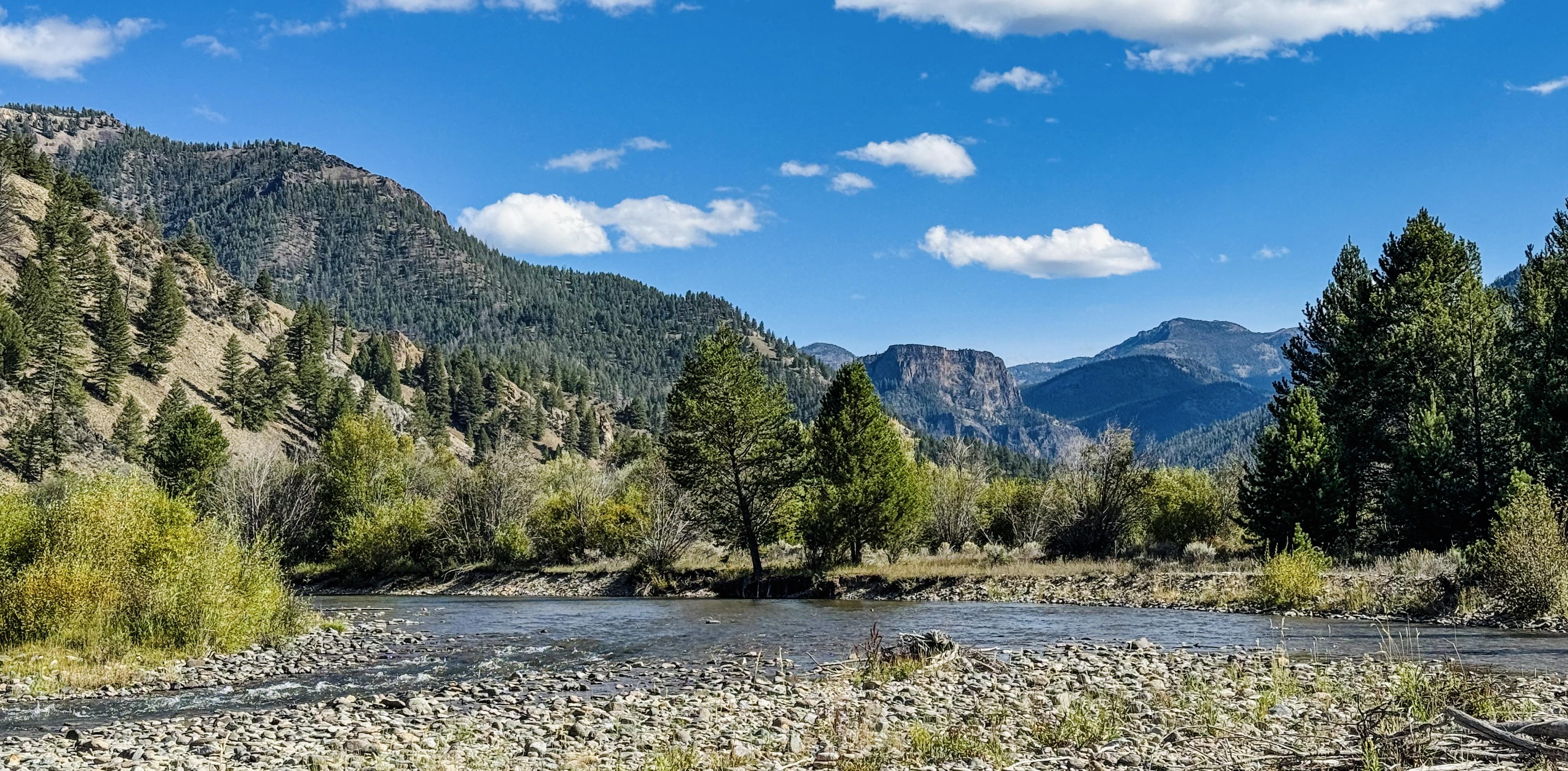 View of Castle Mountain from Camas Creek