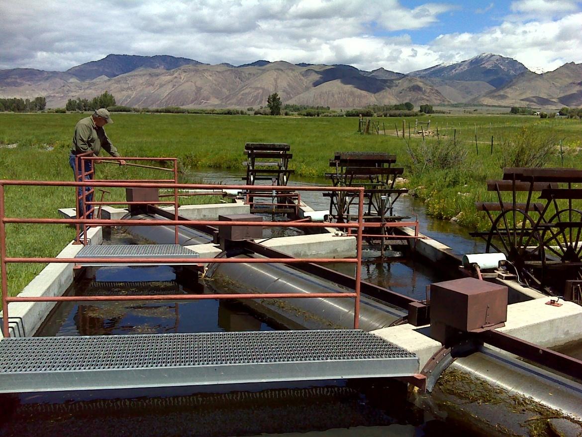 Screen tender, Gary Funk, maintains a fish screen in the Pahsimeroi Valley