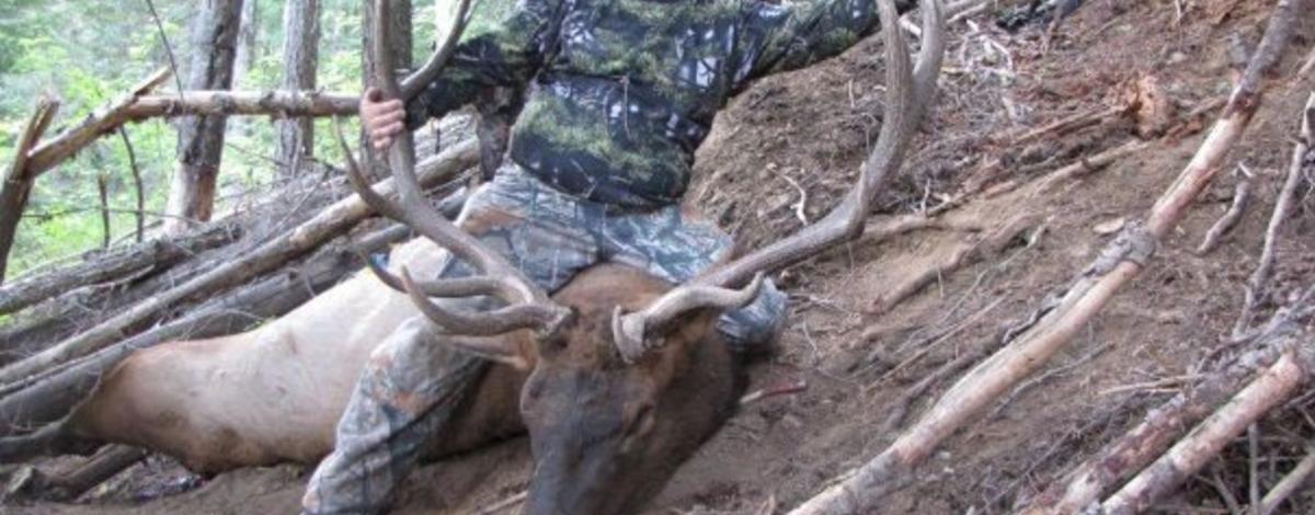 hunter with his bull elk