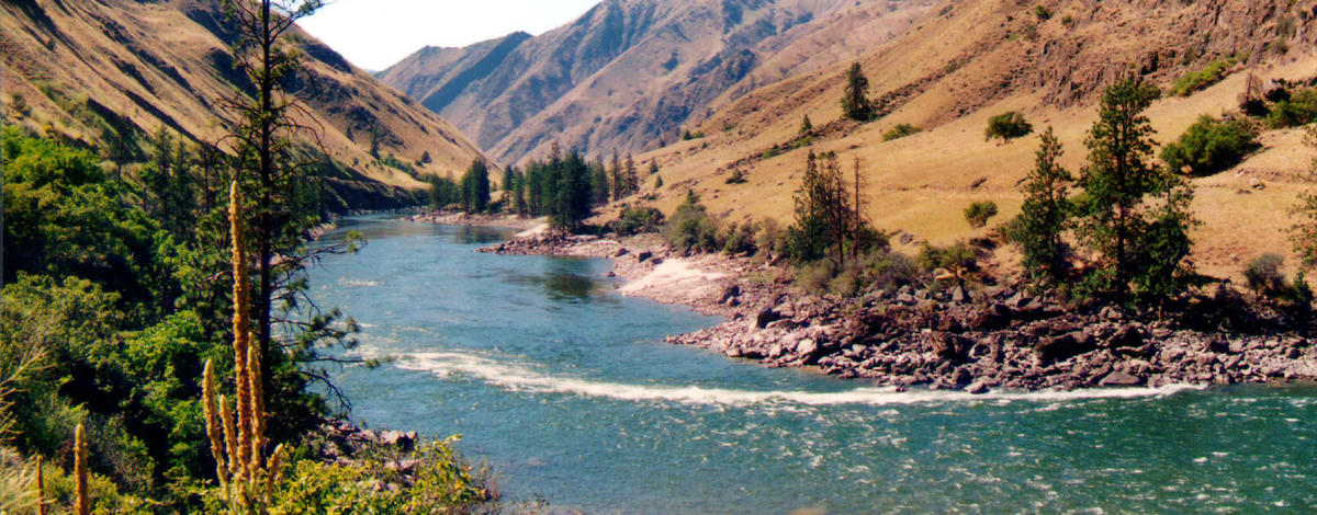 Salmon River