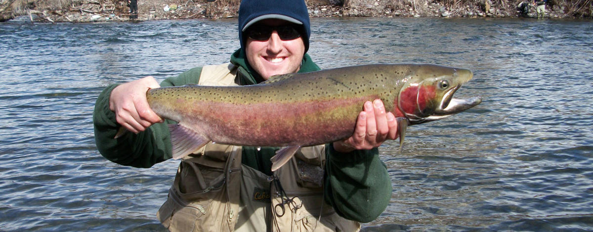 angler with his 32 inch hatchery male steelhead April 2011