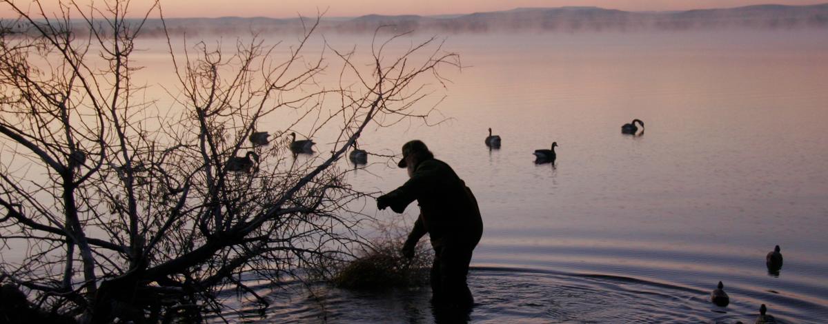 Duck hunting, C.J. Strike Reservoir, Southwest Region