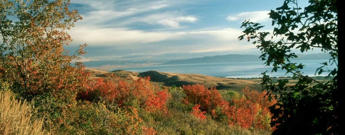 Bear Lake Fall colors wide shot 