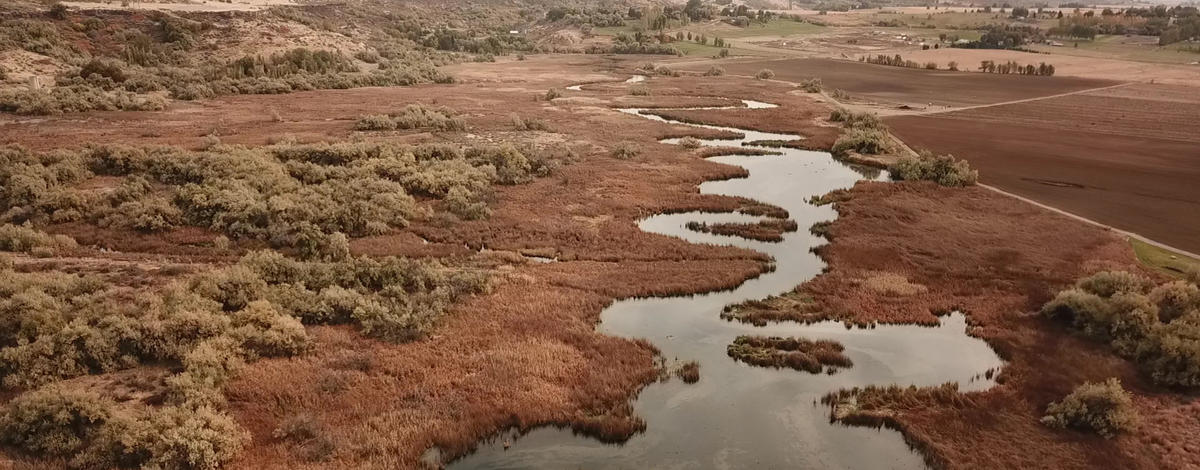 Billingsley Creek WMA aerial