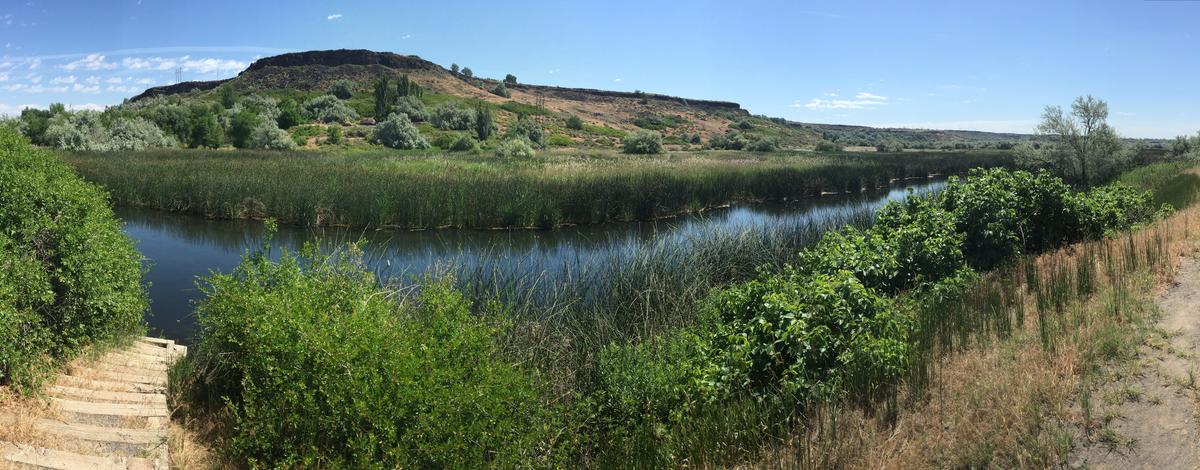 panoramic shot of Billingsley Creek June 2015