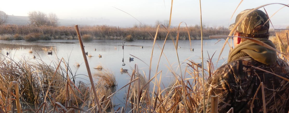 Duck hunter banner