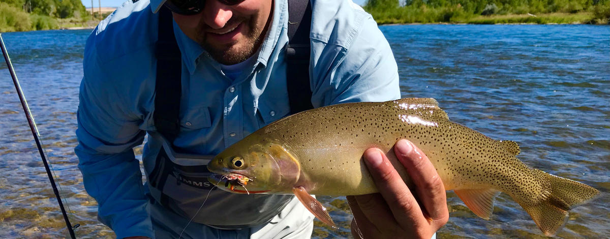 An angler hold a Yellowstone cutthroat trout
