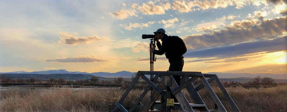 person watching wildlife