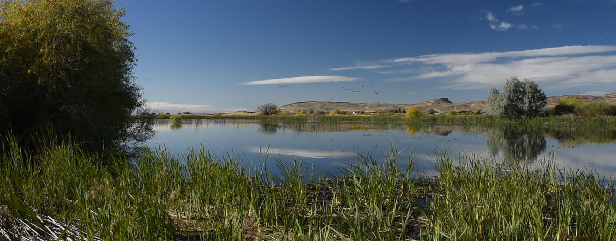 Carey Lake WMA