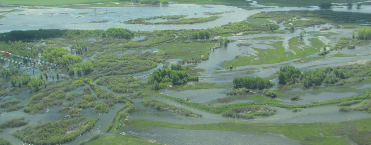 Cartier Slough WMA Idaho Fish and Game