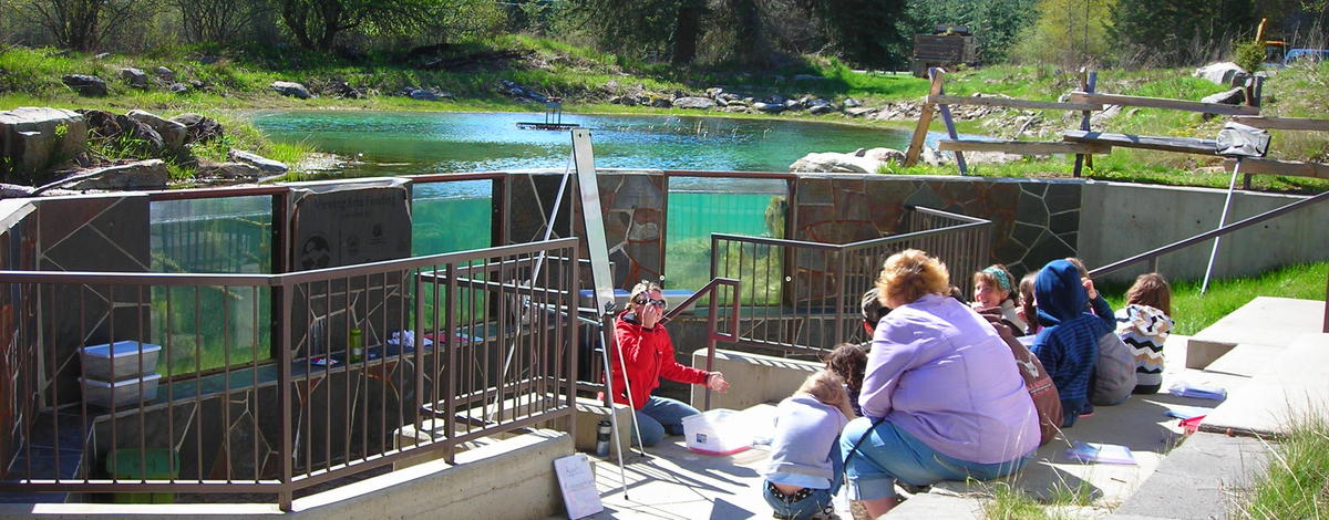 class at the amphitheater at the Waterlife Discovery Center with the fish viewing windows and forest in the background in Sandpoint wide shot May 2011