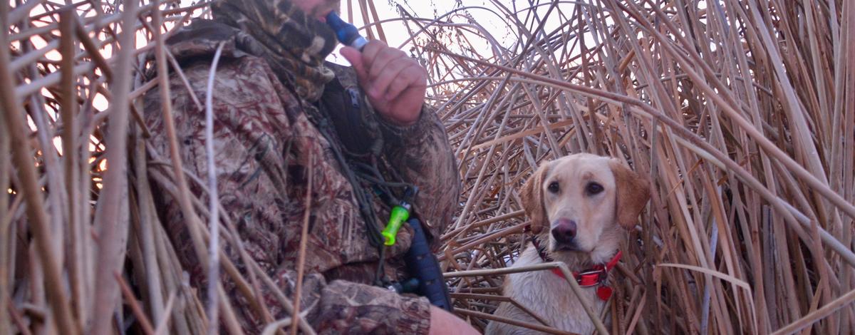 duck_hunter_with_dog_fall-winter