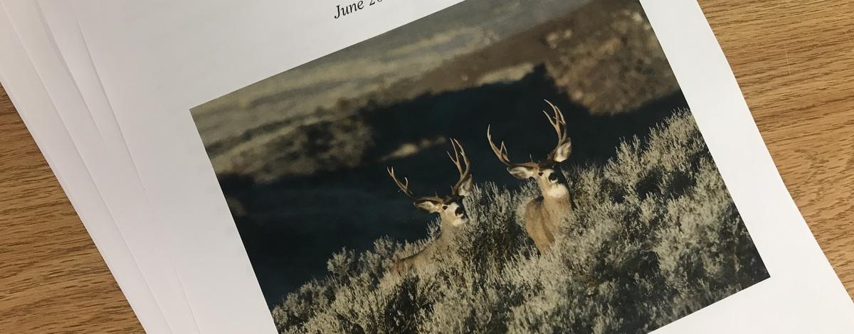 Mule Deer Plan 2019