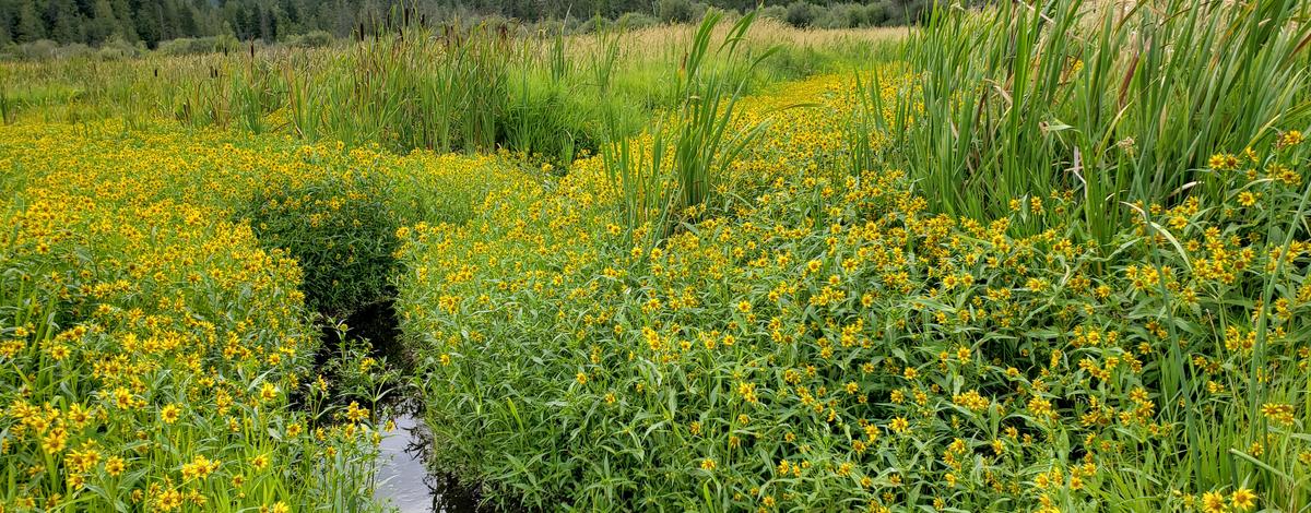 20190823 ML bidens