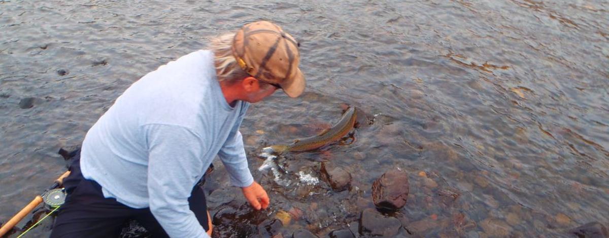 Fishing for steelhead on the Clearwater and Snake Rivers in 2016