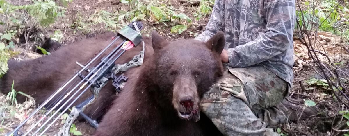 Black bear, Dean Johnson, archery harvest, controllec hunt, Unit 32A