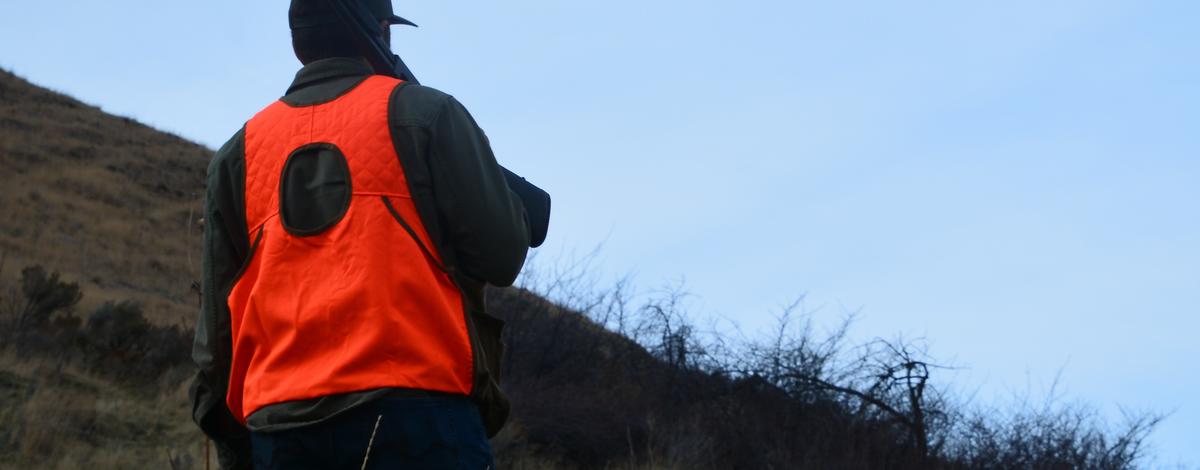 upland bird hunter_2273_cropped