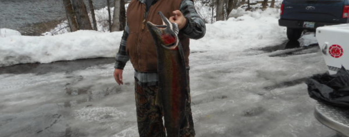 Steelhead Fisherman near Orofino