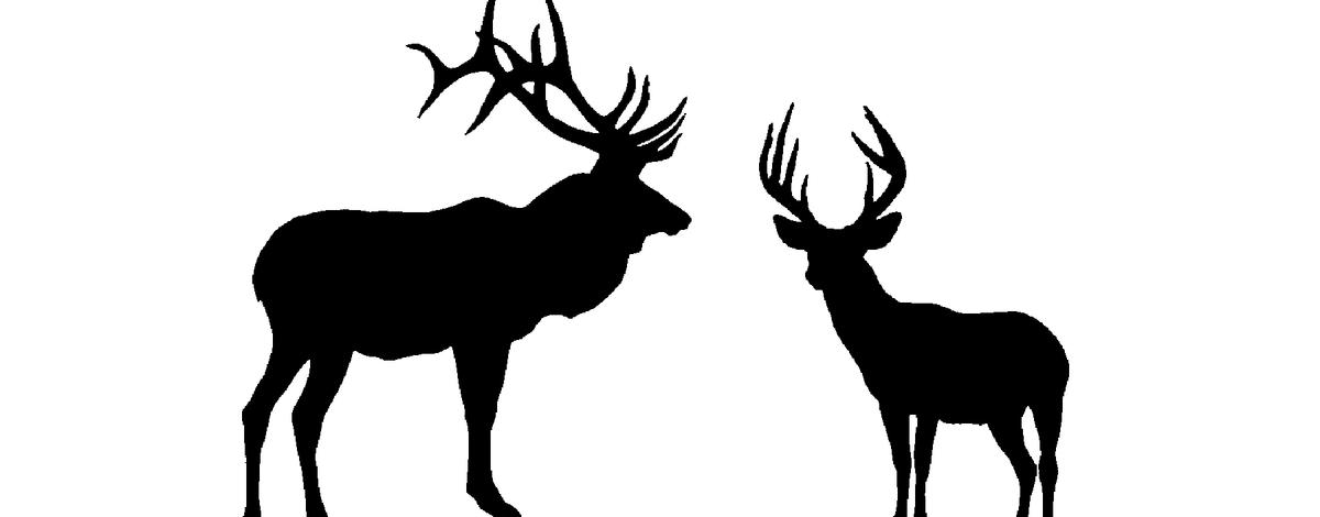 elk/deer silhouette