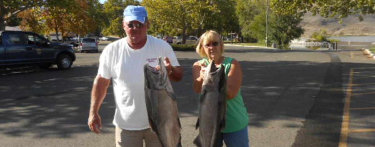 Fall Chinook caught at the confluence of the Snake and Clearwater rivers in 2016.