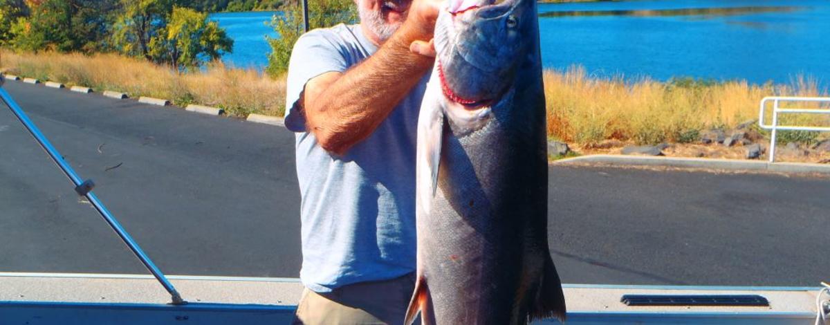 Fall fishing for Fall Chinook at the confluence of Snake and Clearwater rivers in 2016.