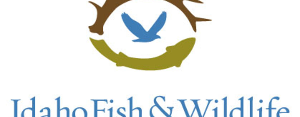 Idaho Fish & Wildlife Foundation Logo