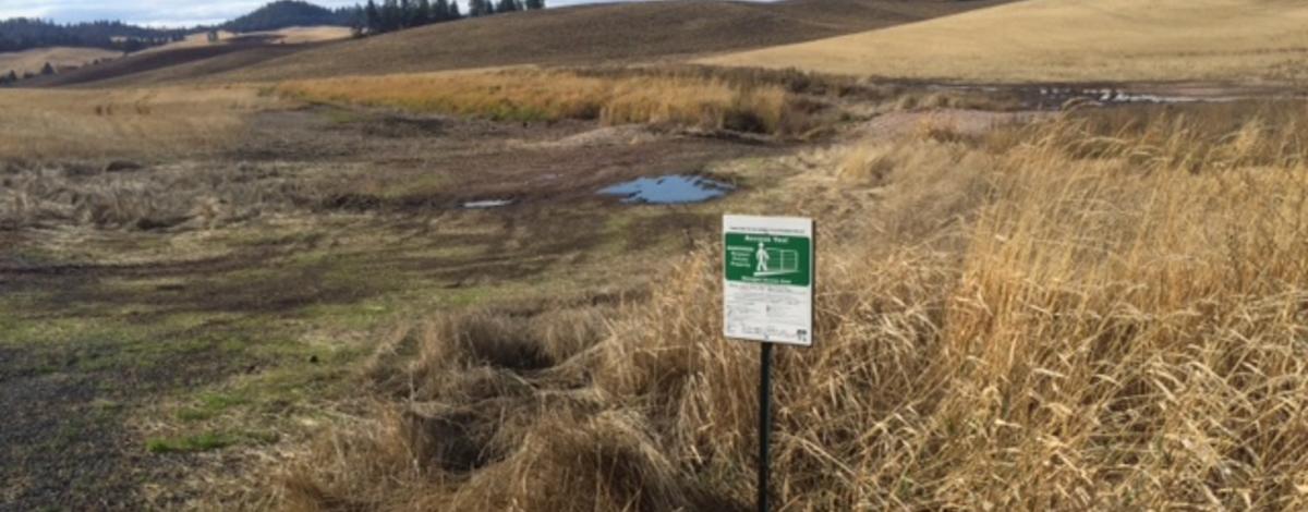 Palouse River Access YES