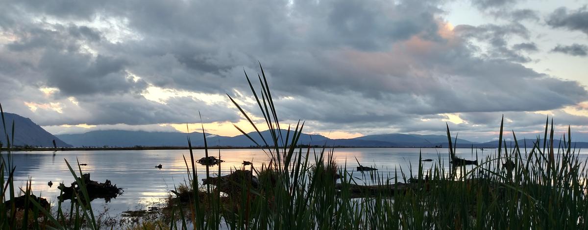 Waterfowl Hunt on the Clark Fork Delta