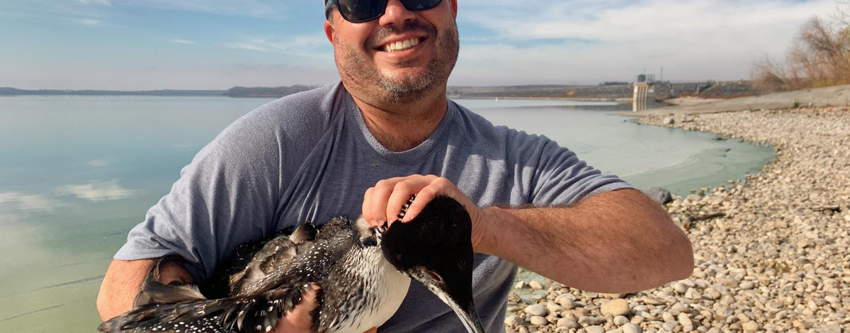 Young loon reunites with mother on Twin Cities lake after rescue from fishing  litter - Bring Me The News