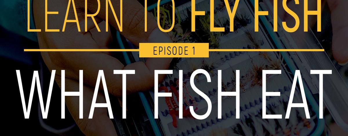 learn_to_fly_fish_ep_1_what_fish_eat.jpg