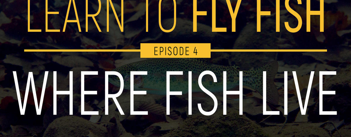 learn_to_fly_fish_-_video_series_thumbnails_-_ep_4_where_fish_live