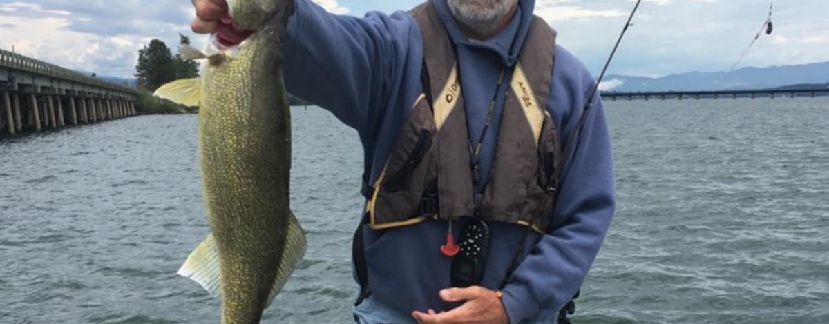 Walleye fishing on Lake Pend Oreille continues to yield big