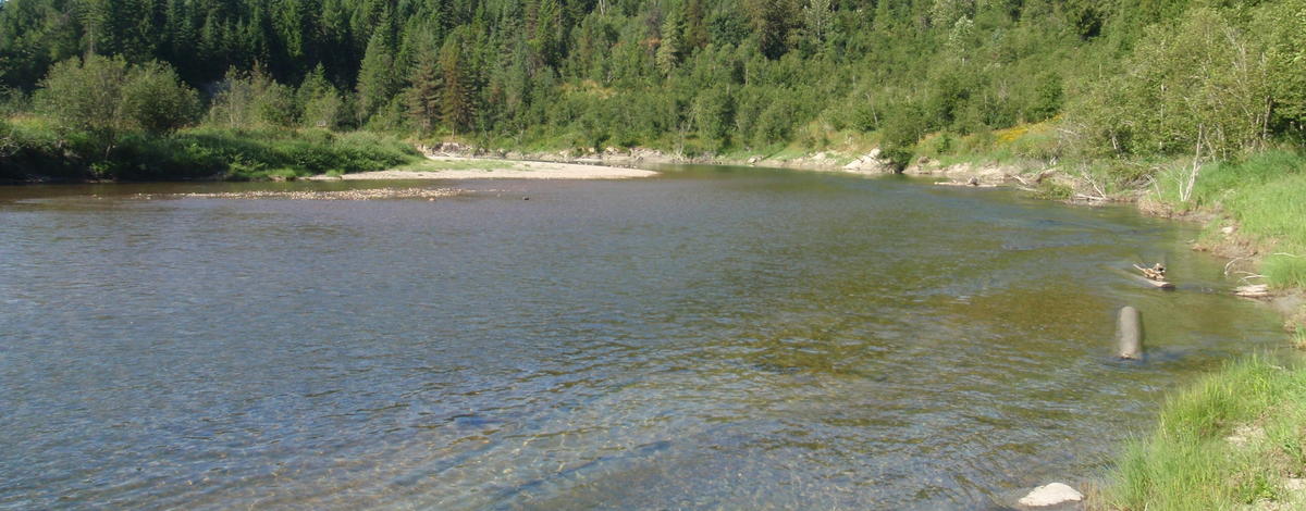 View of Priest River
