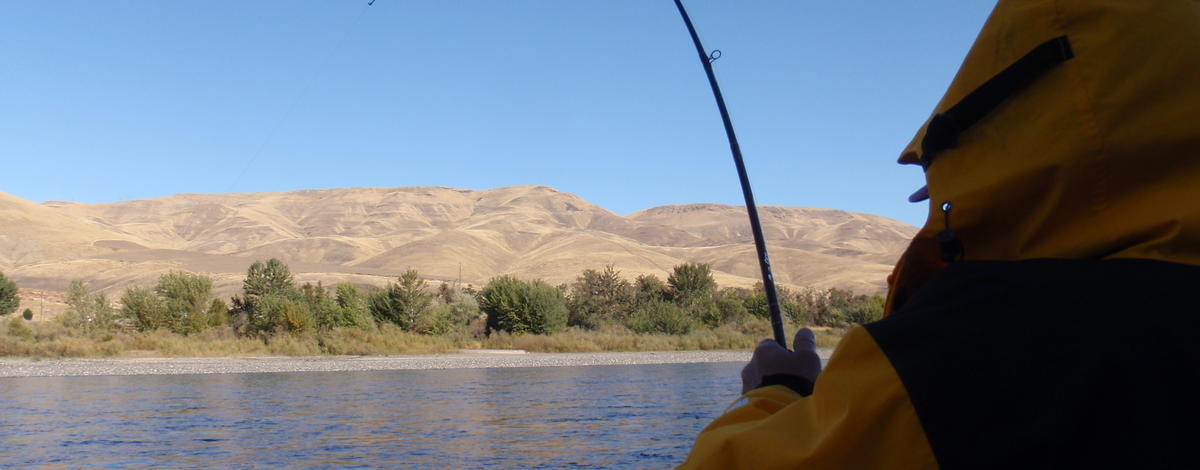Steelhead Angler on the Clearwater River