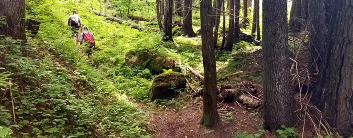 snow_peak_sunlit_trail