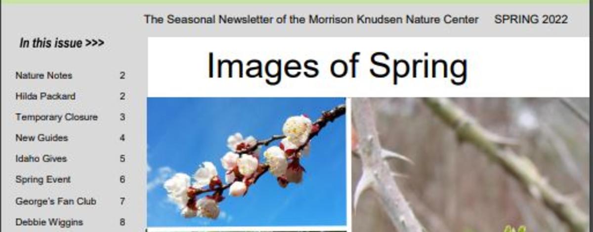 spring_newsletter_cover