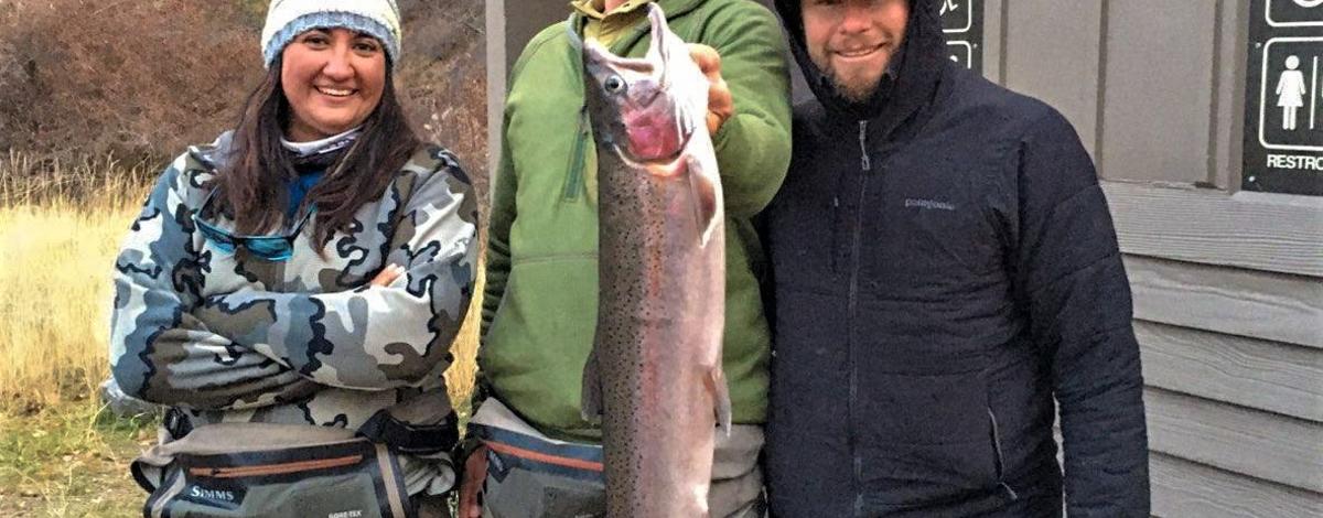 steelhead_cropped