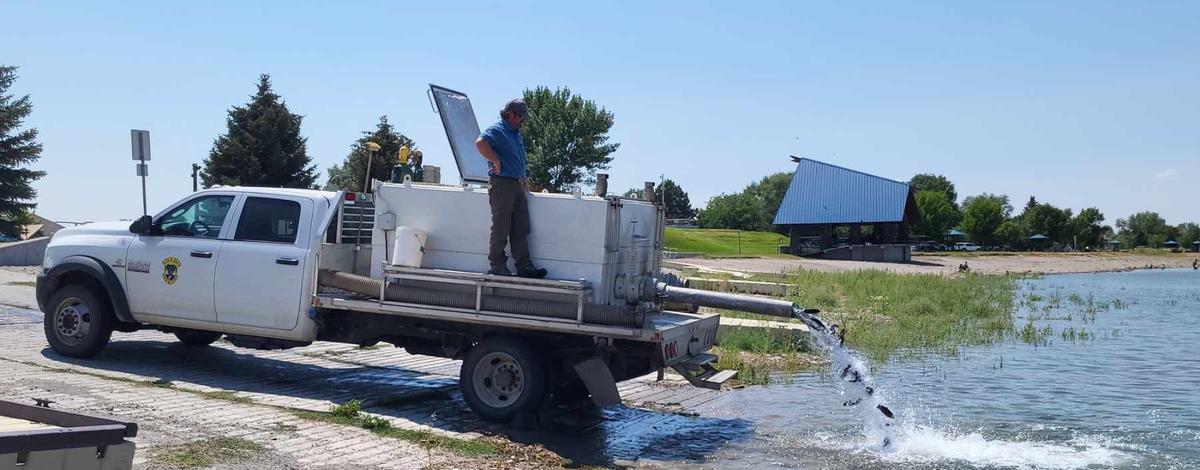 stocking_trout_at_jensen_grove_blackfoot_jul_29_2022_2